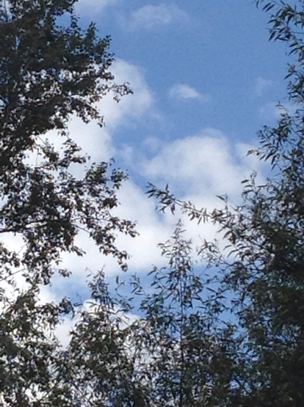 "Есть на Москве места такие..." ч.2. Тайны Коломенского оврага