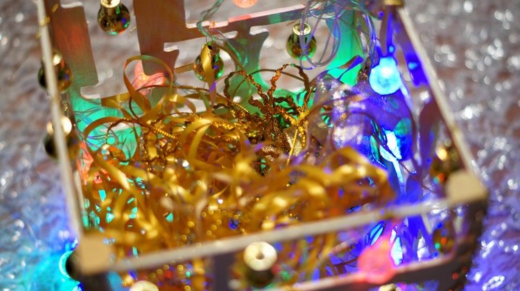 Праздничный фонарь — Другие хобби и увлечения: сад (фото 6)