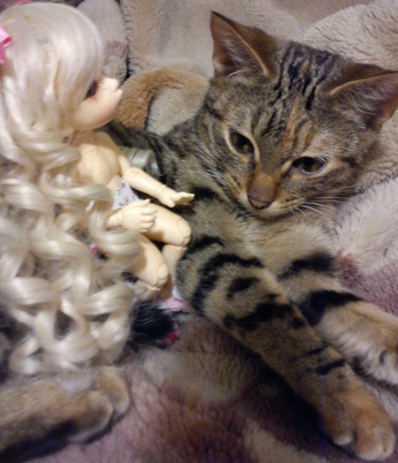 День Рождения Манюни. PukiFee Ante (фото 2)