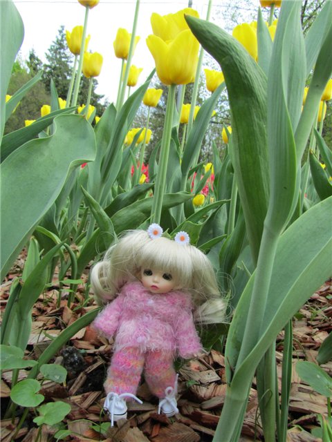 Весенний день... или как девочки ходили на пикник.№1 (фото 5)