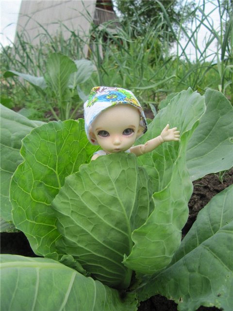 К нам приехал, к нам приехал... Феликс Поцелуйкин дорогой! Realpuki, БЖД (фото 3)