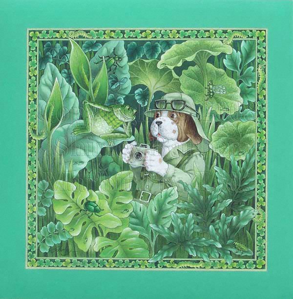 Мир эльфов и фей от Ширли Барбер (SHIRLEY BARBER)