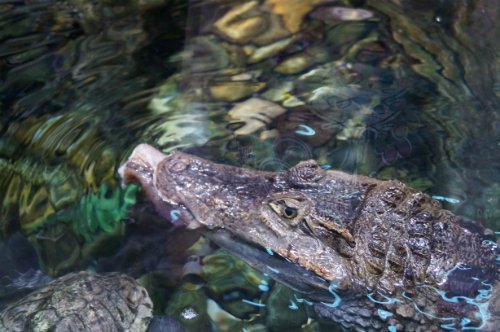 Воронежский океанариум — Туризм и путешествия: фотоотчеты из поездок