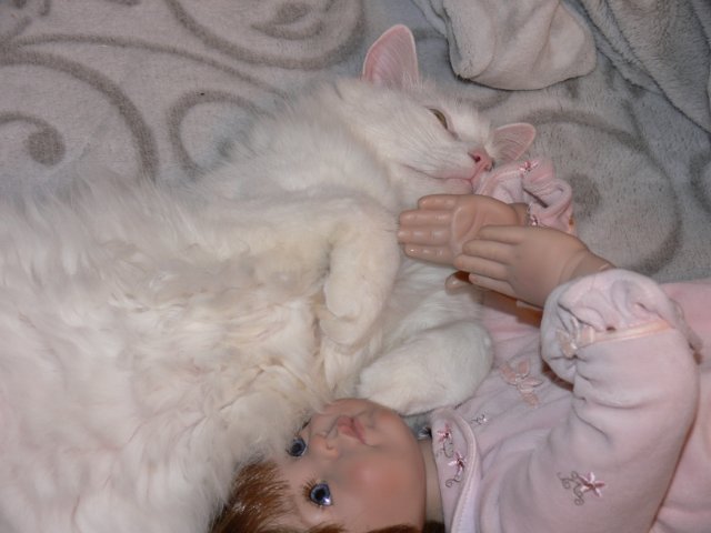 Интересно, кто кого больше любит (фото 5)