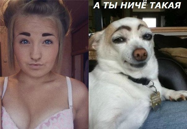 Понедельник - день тяжёлый | Бэйбики Понедельник - день тяжёлый