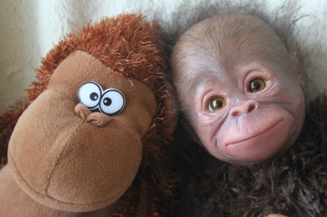 Обезьянка Bindi кукла реборн Элины Кудрявцевой