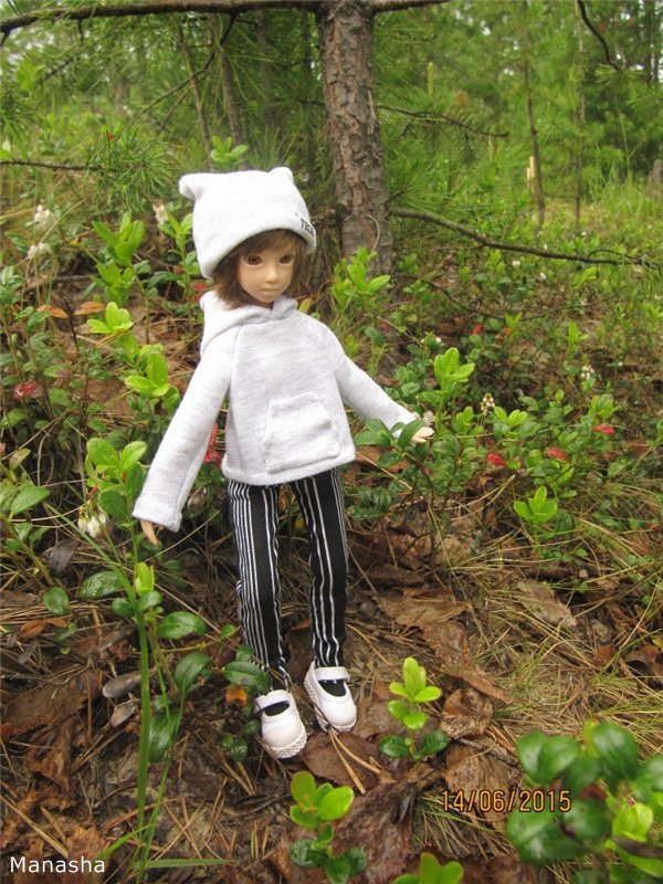 Динкина прогулка — Гибриды шарнирных кукол (не БЖД): подбор тела (фото 10)