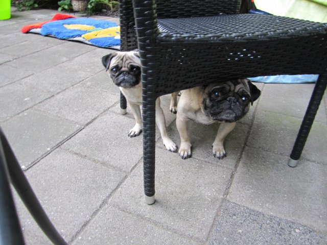 "В гостях у сказки" или моя поездка к нашей Lalysse из Голландии