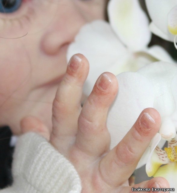 Кукла реборн Frida от Karola Wegerich в моём исполнении