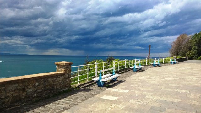 Пегий пёс, бегущий краем моря