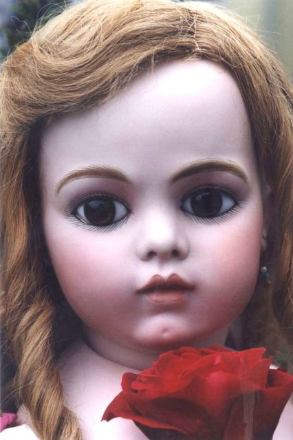 Софи Bru... задумчивая красота (фото 5)