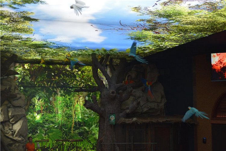 Испания. Тенерфе. Часть 2. Лоро парк (фото 9)