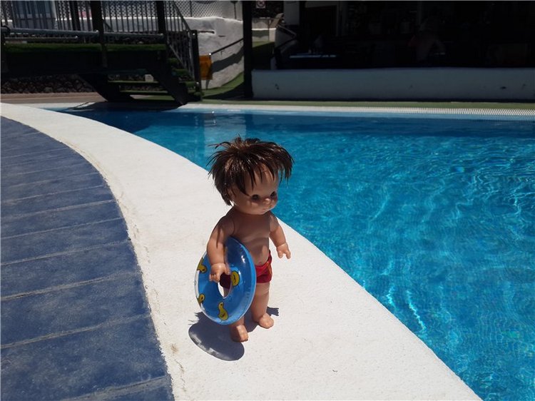 Испания. Тенерифе. Часть 1 (фото 5)