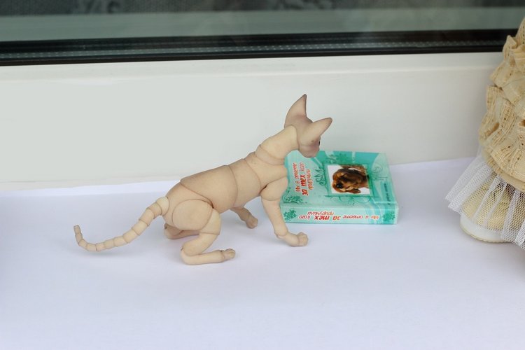 Жизнерадостный Кот и мечтательная Лайла (фото 5)