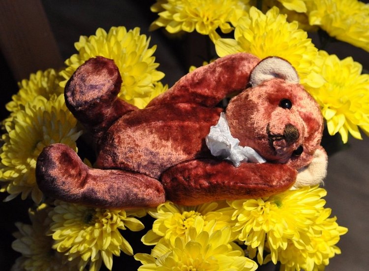 Главное-вовремя понять, кто ты есть на самом деле (фото 3)