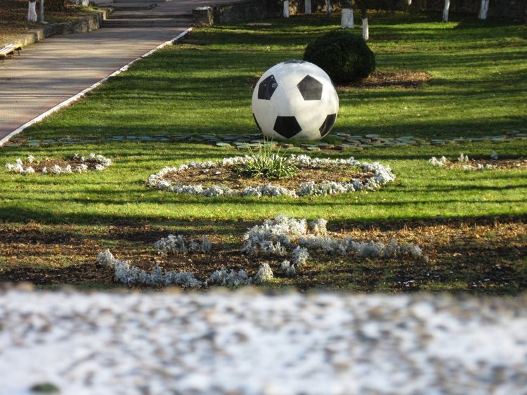 Утренняя прогулка в парке Горького с Соломоном и Анхен, или О сложностях гуляния с собакой и куклой одновременно