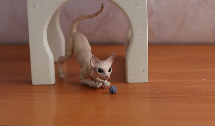 Кот играет с мячиком — Разные куклы BJD (БЖД): редкие бренды