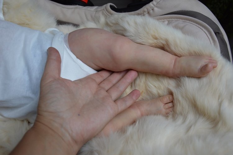 Еще одна Саксия... Еще один пацанчик