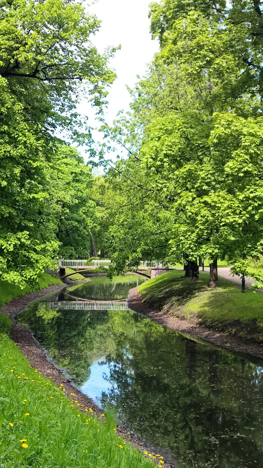 Как сложно быть самой собой