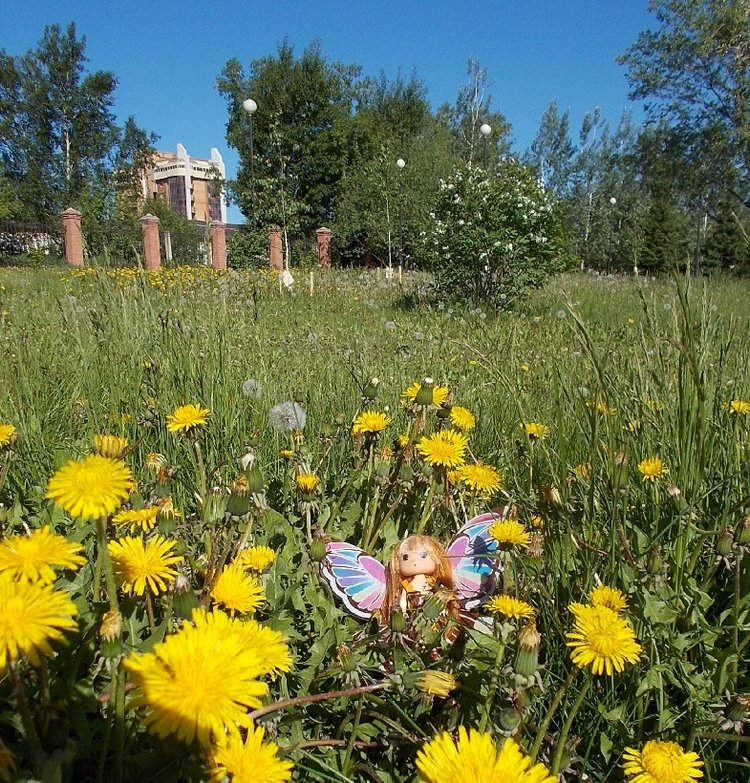 Попробуем рассказать сказку (фото 3)