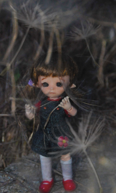 Витражная сказка-4 — Куклы и тела Obitsu (Обитсу): 1/6