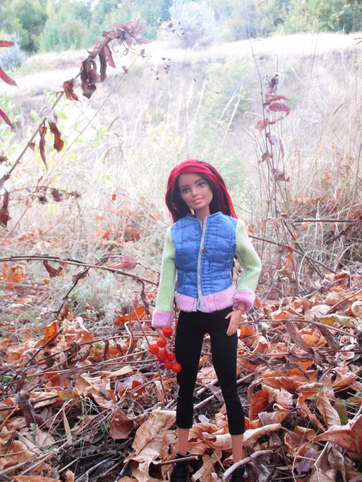 Моя идеальная Джойс — Гибриды шарнирных кукол (не БЖД): подбор тела (фото 9)