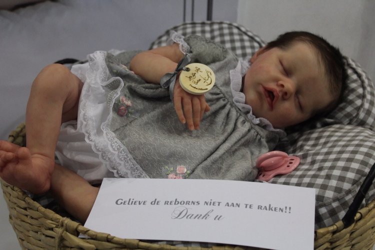 Выставка мишек, кукол и кукольной миниатюры в Голландии 2017 - часть четвертая