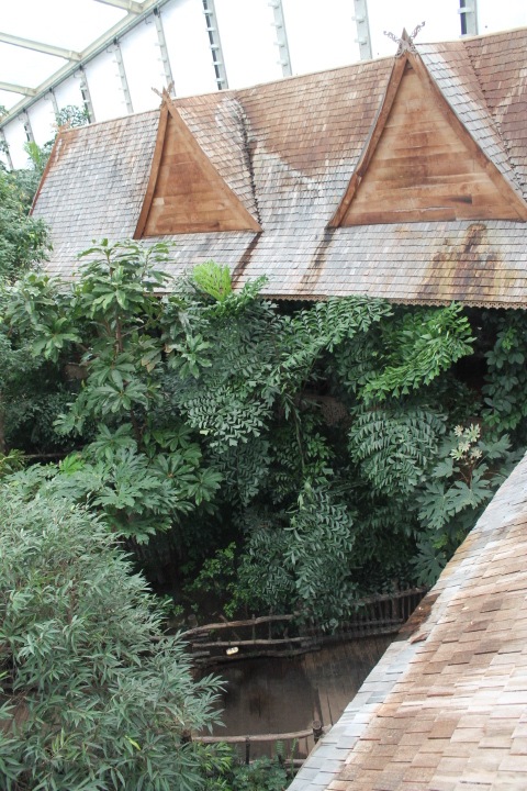 По Германии: зоопарк Лейпцига, часть 2