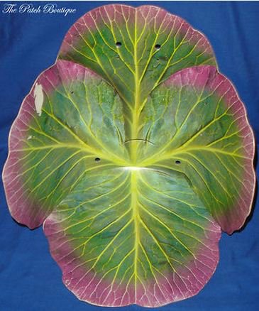 Полезные рецепты капустки. Куклы Cabbage Patch Kids