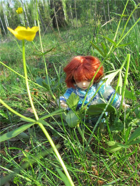 Весенний день... или как девочки ходили на пикник.№2