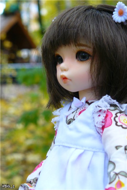 Вот так погуляли или Как у нас появилась кукла БЖД LittleFee Ante Elf (фото 9)