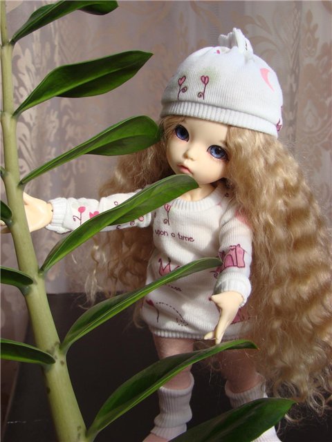 Любимка Николь. Little Fee Ante Elf (фото 4)