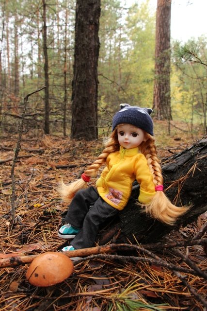 По грибы. Бузулукский бор