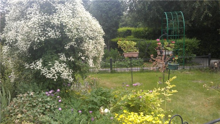 Маленький парк — Куклы Dollzone (Доллзон): BJD (БЖД) (фото 3)