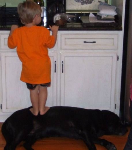 Кому нужна нянька — Болталка и разговоры обо всем: жизнь