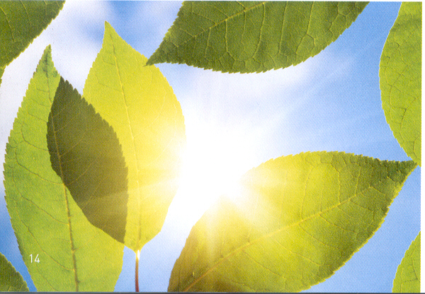 Я верю, что счастье сильнее смерти... Немного о куклах Генриха Хандверка