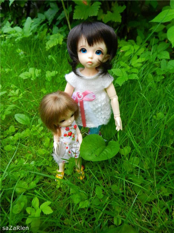 Варвара путешевственница (Литтлфи Анте)