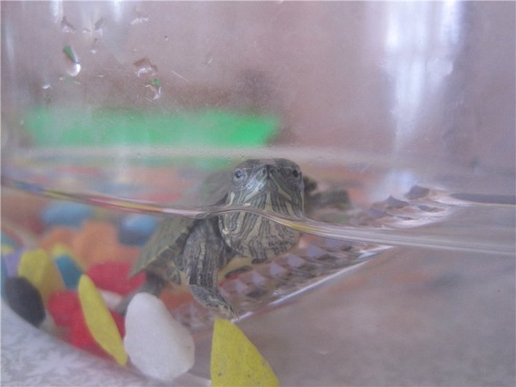 Галчонок и лето. Винтажна куколка СССР Галя