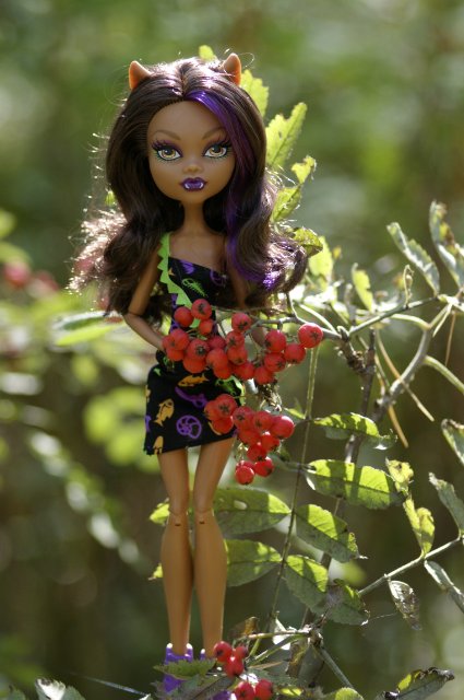 Как Лиу и Клодин за грибами ездили