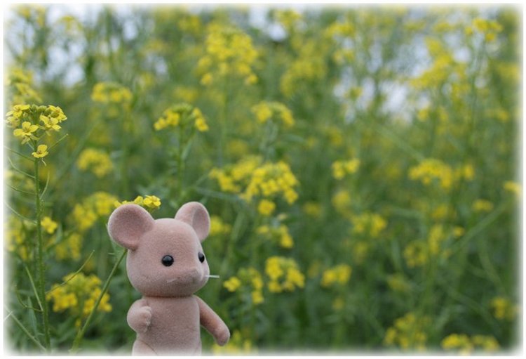 Из жизни маленькой банды, детки Gabriele Müller