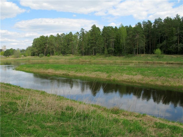 Сказочное Василёво. Реплика антикварной куклы Bébé BRU JNE от автора Branka Schärli
