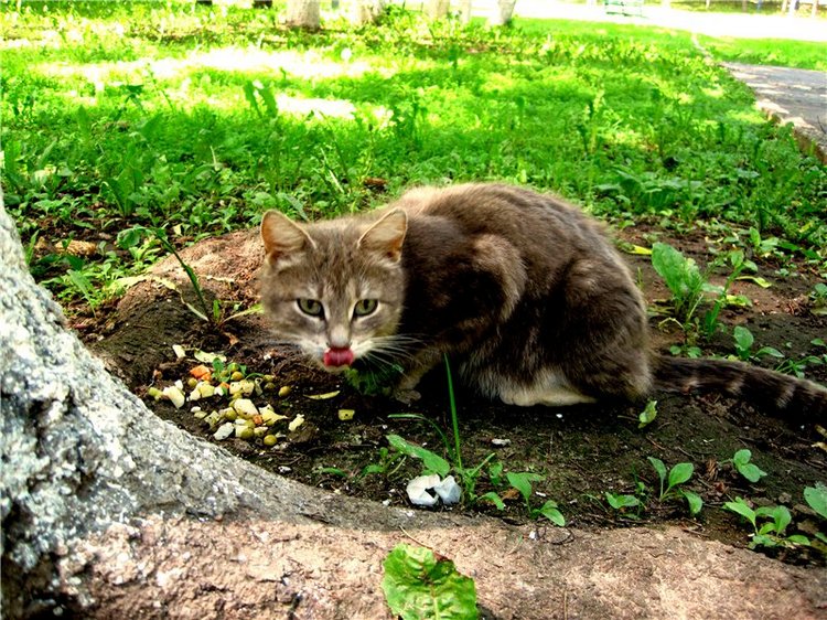 Воспоминания о детстве — Советские винтажные куклы (СССР): Ленигрушка