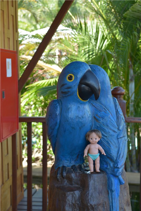 Испания. Тенерфе. Часть 3. Сиам парк