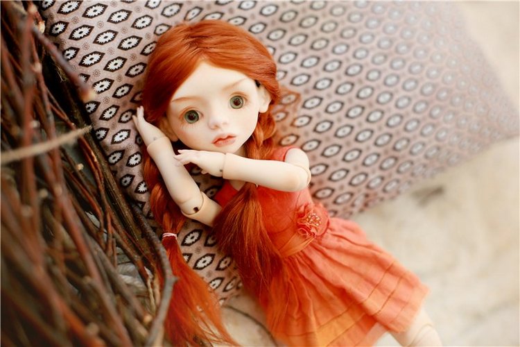 Много фотографий шарнирных кукол (фото 5)