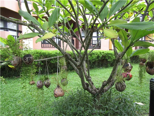 Тайланд Вам рад - на чудеса богат (фото 4)