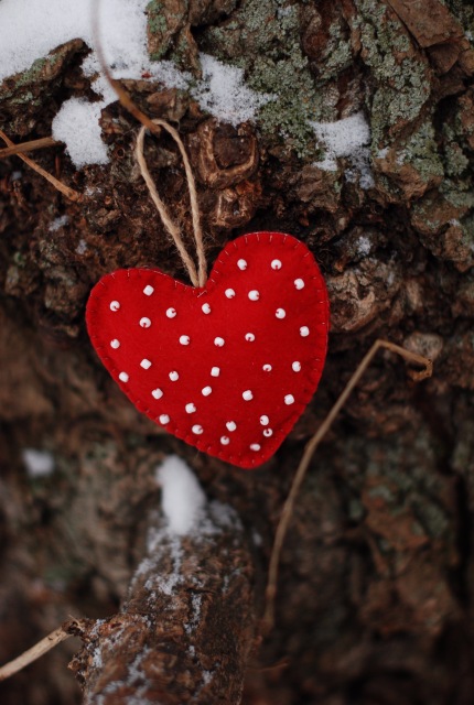 Ёлки-иголки, сердечки и дети (фото 5)