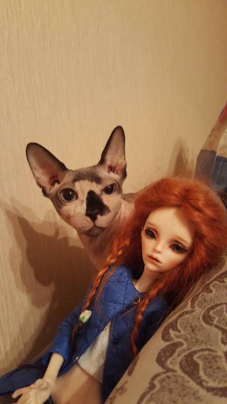 Случайная любовь в преддверии праздника (фото 5)