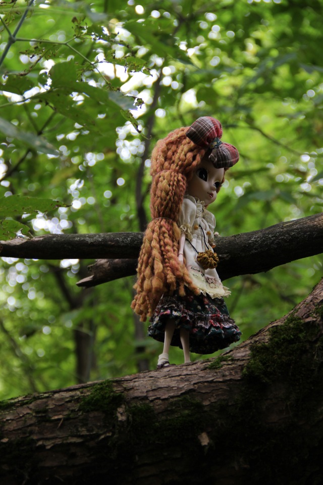 Немного об Амарри — Куклы Pullip (Пуллип) (фото 8)