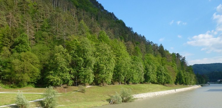 Словения, Светланка и маленький «герой» в одном ботинке