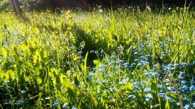 Коллекция кукол "Свет и Тень Хрустального Озера": Свет Кристалла